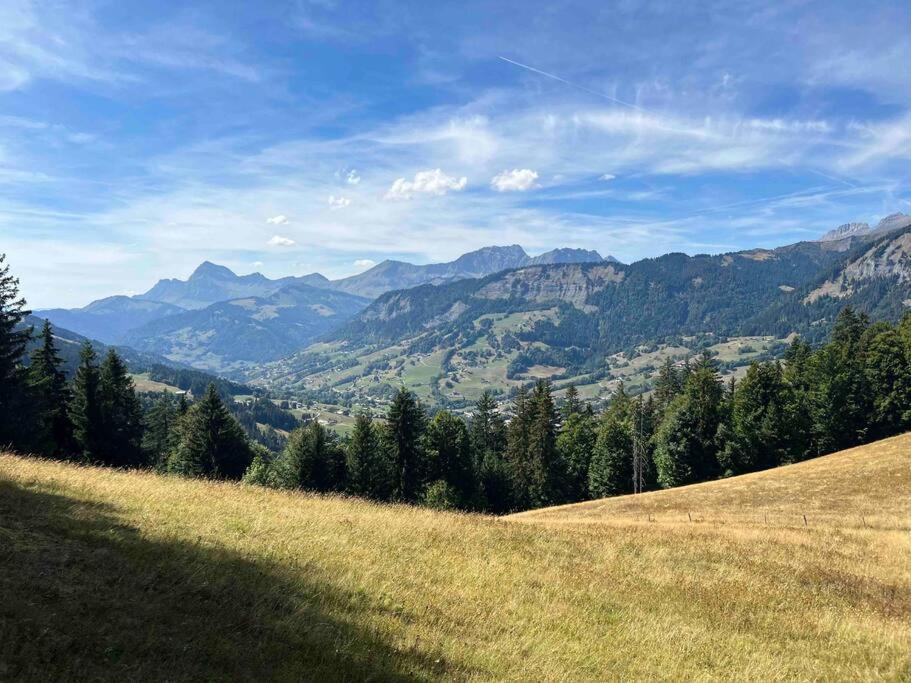 Апартаменты Praz Sur Arly - Proche Des Pistes Et De Megeve Экстерьер фото