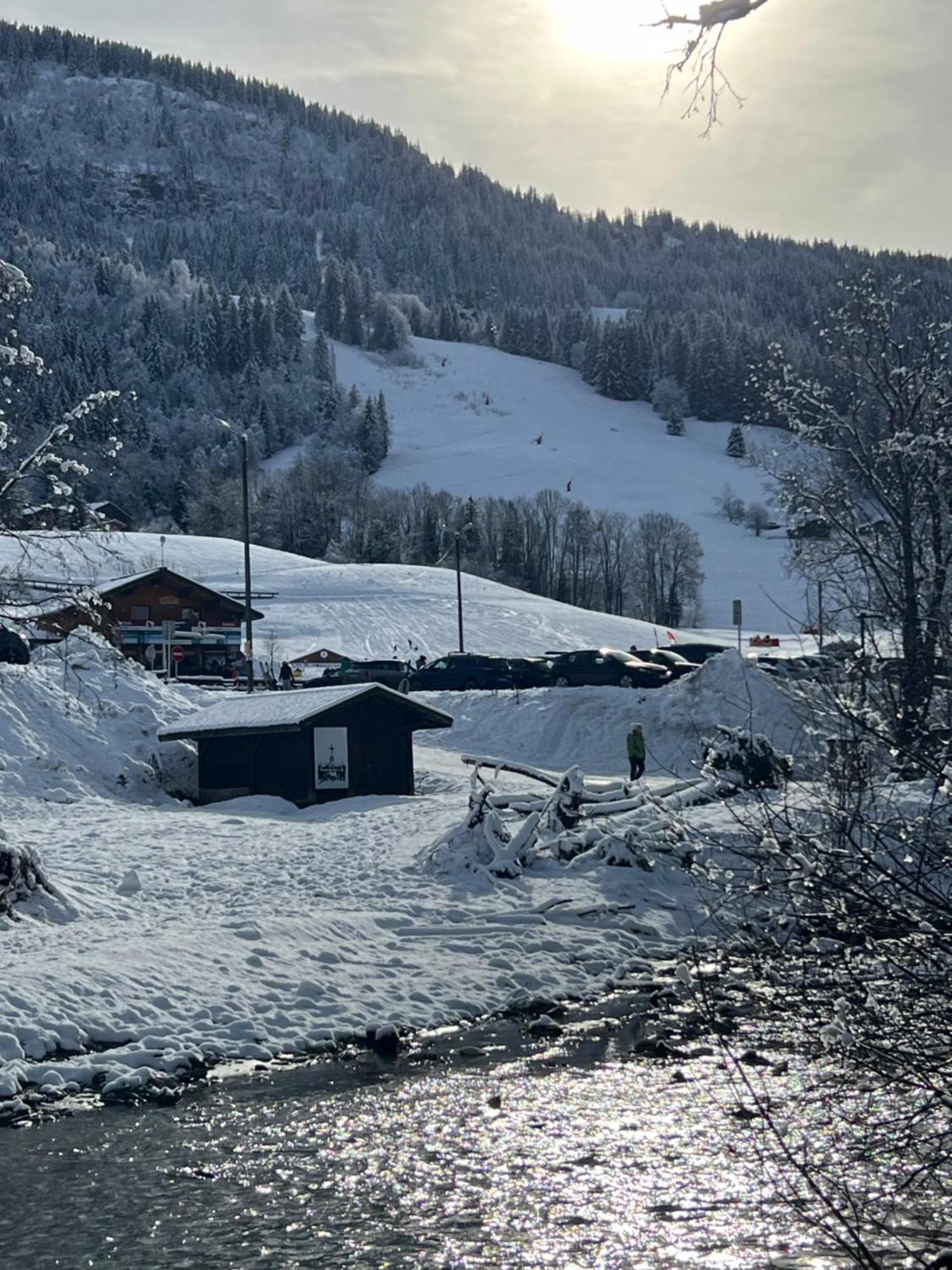 Апартаменты Praz Sur Arly - Proche Des Pistes Et De Megeve Экстерьер фото