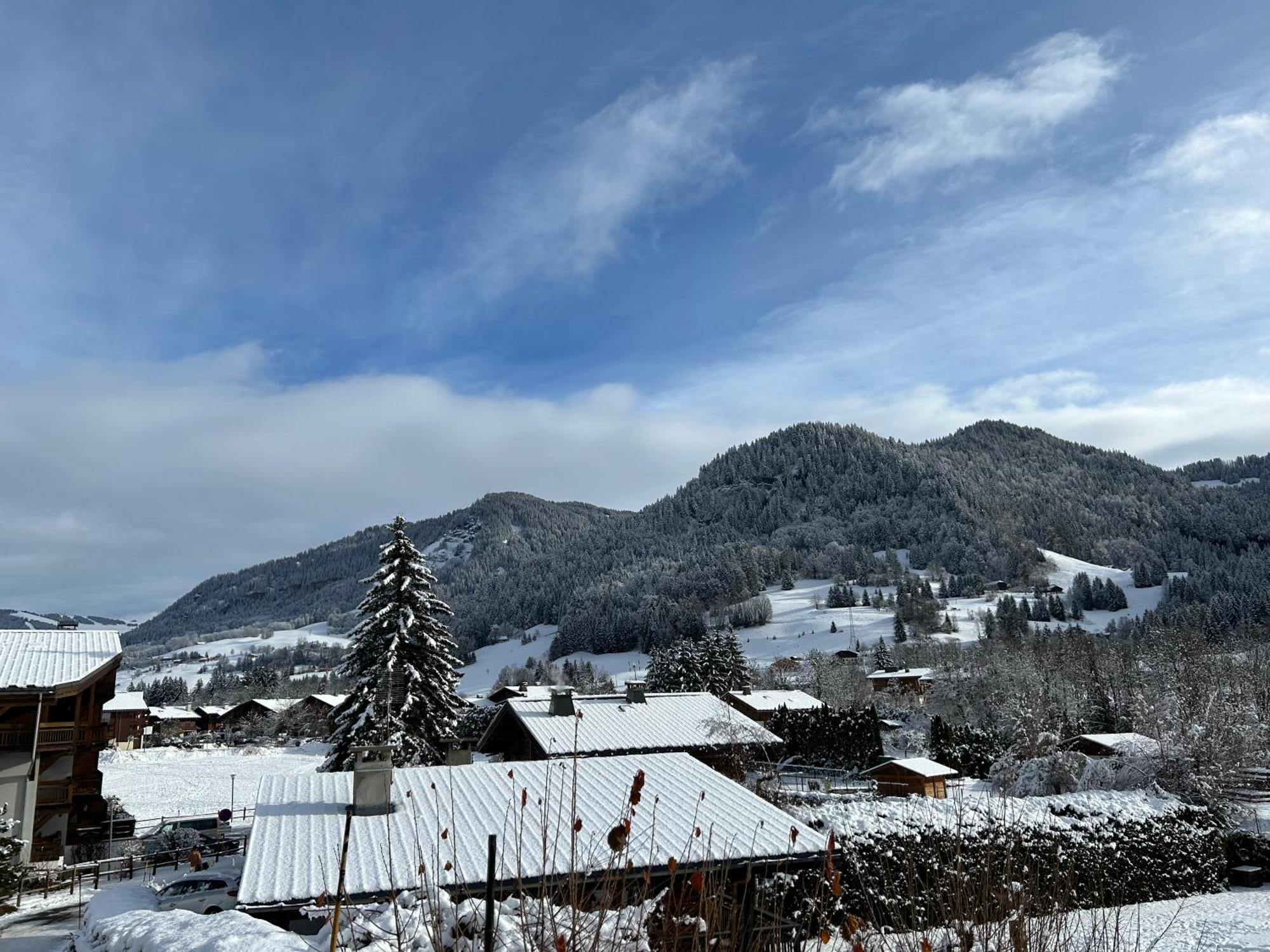 Апартаменты Praz Sur Arly - Proche Des Pistes Et De Megeve Экстерьер фото